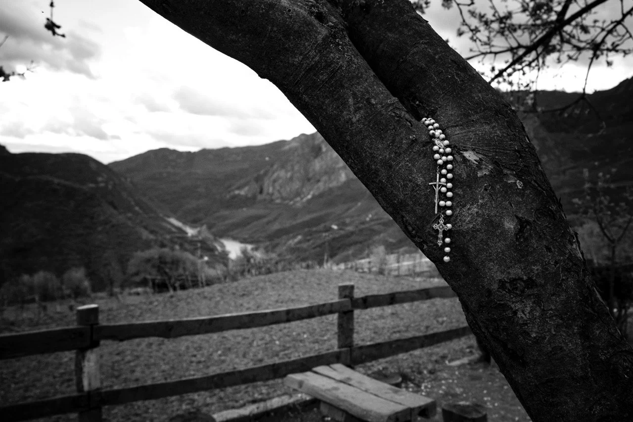 _DSF5667 - dimensioni grandi.jpeg