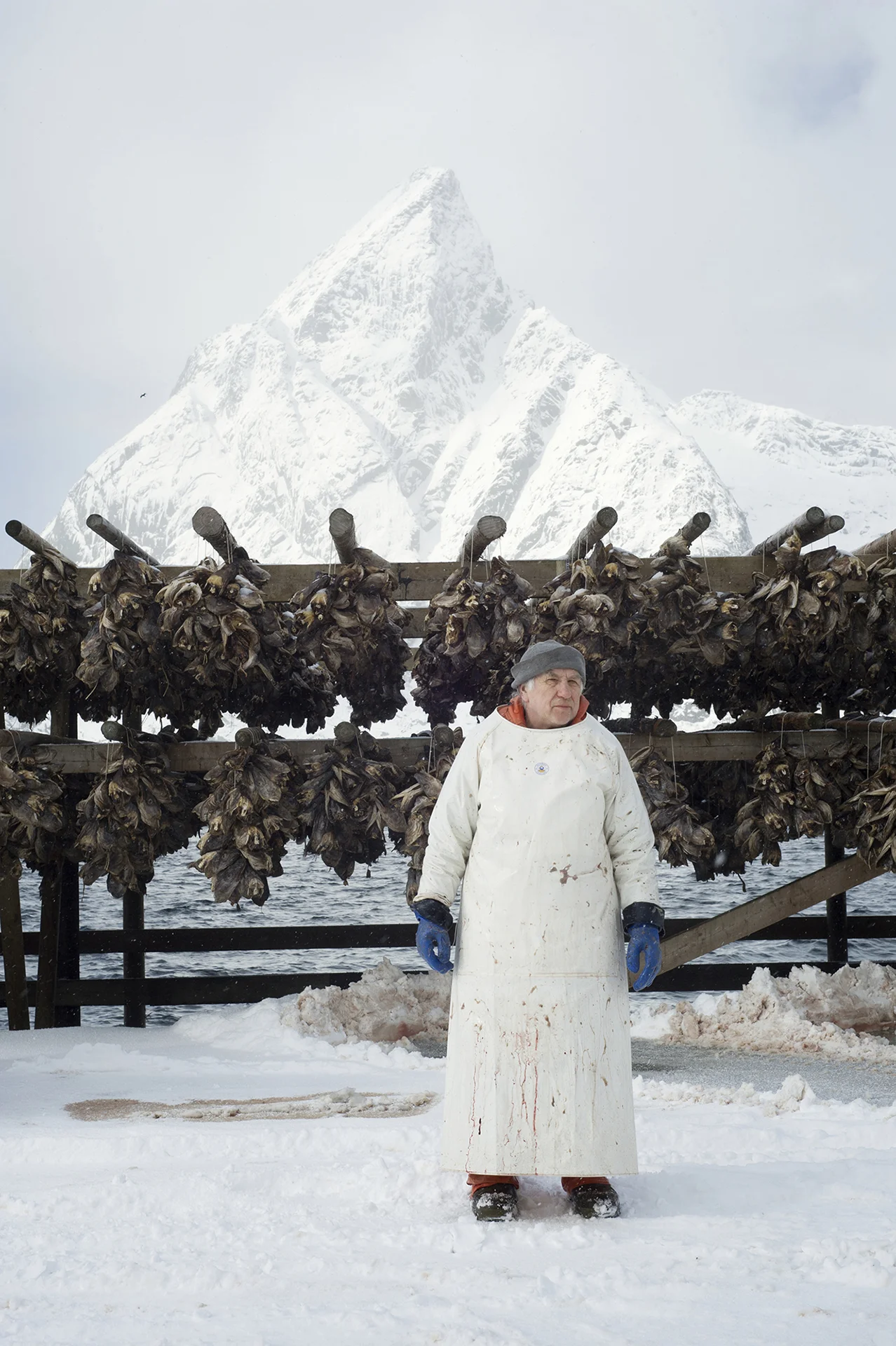 Ever since the age of the Vikings cod fishery has had a great impact on economy, employment and settlement along the coast of Norway. Most of these photographs are from the book The Lofoten Fishery, published in 2017.