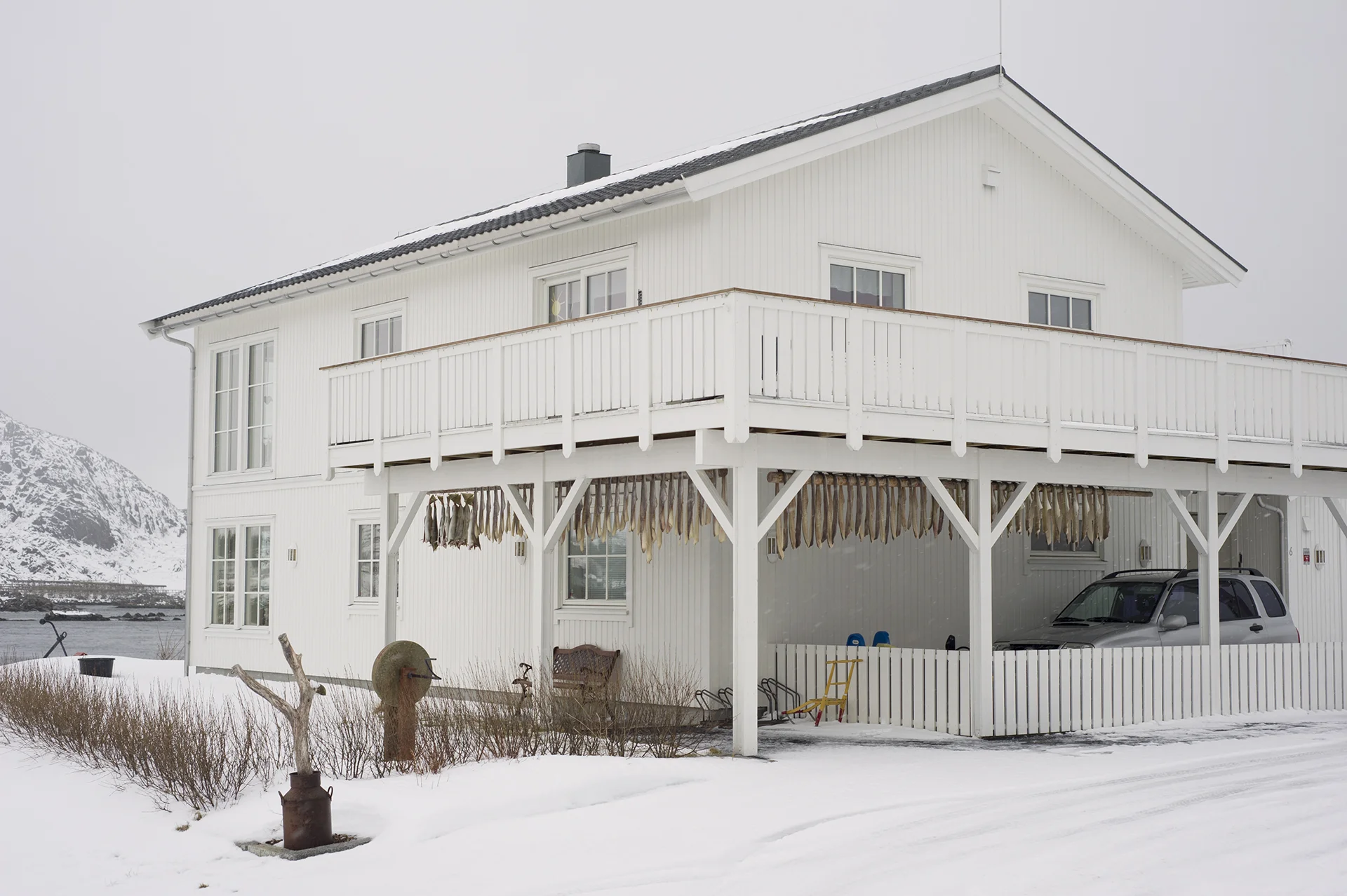 Stockfish. Ballstad. From the book The Lofoten Fishery.