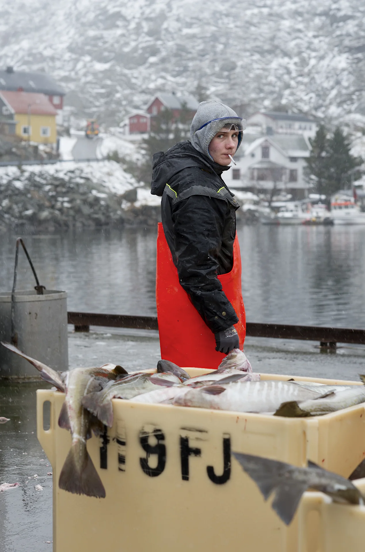 Sund. From the book The Lofoten Fishery.