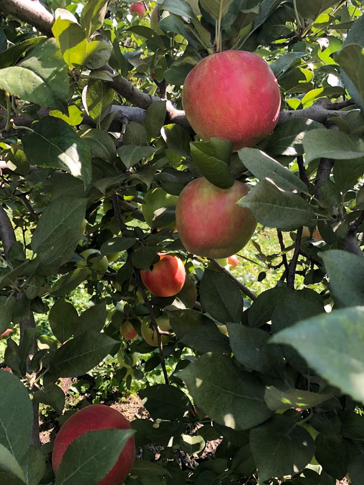 Eger Bros. Farm