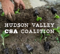 HV CSA Coalition
