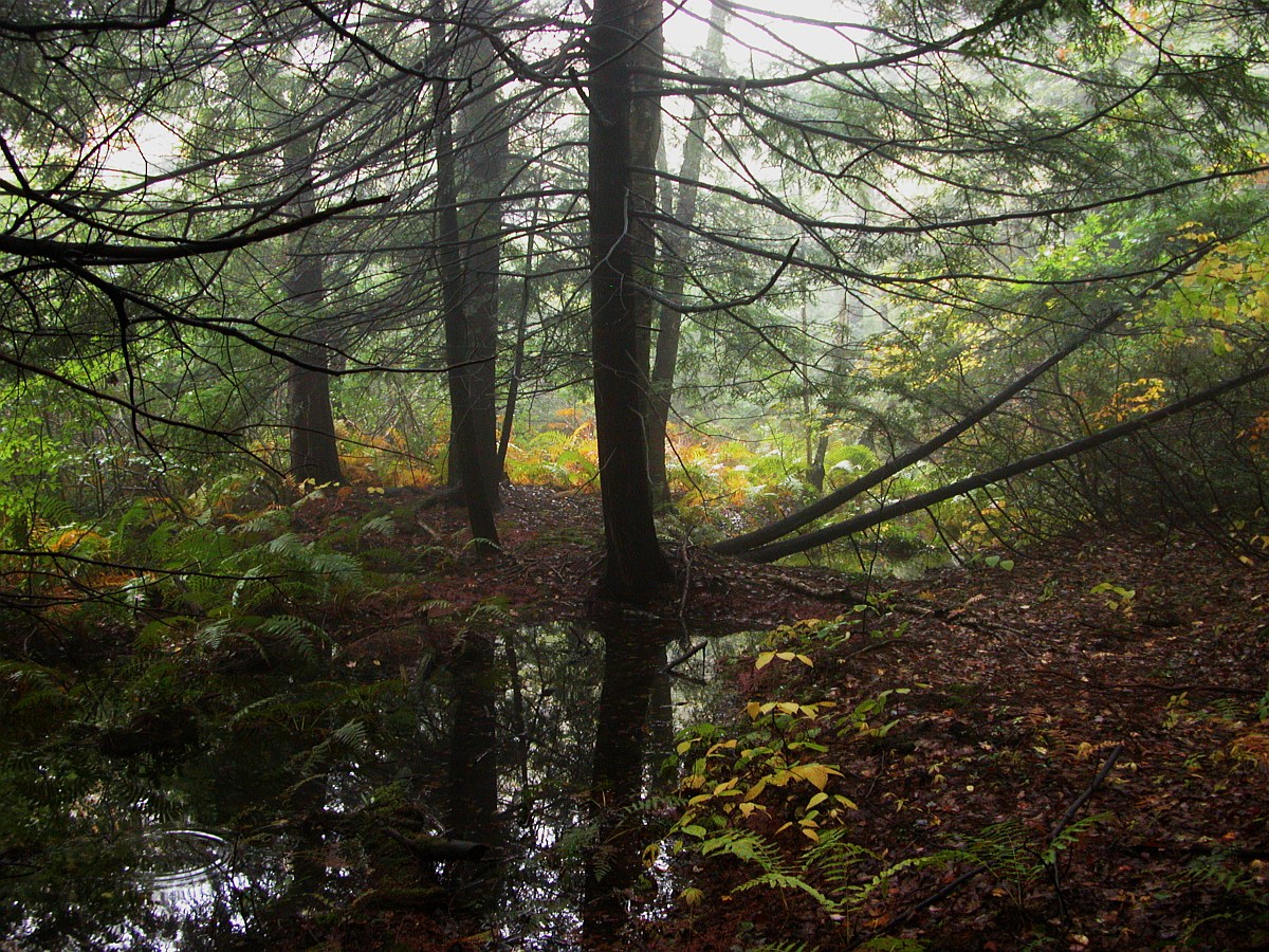 Ecological Habitats