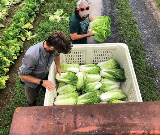 Creating a Better Food System