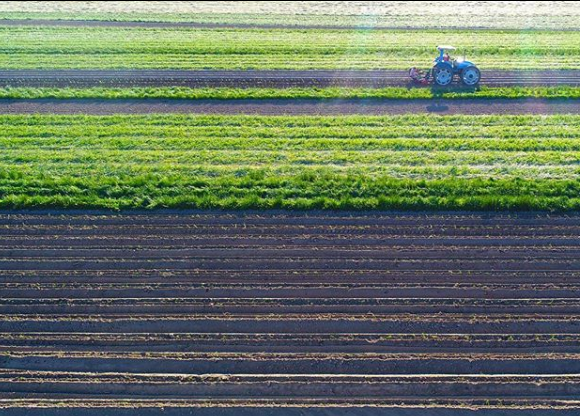 Harvest, Crop and Soil Manuals