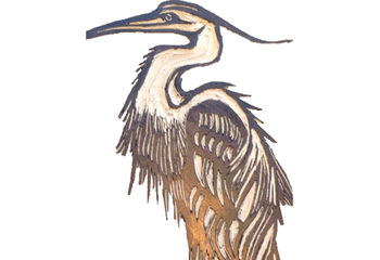 HERON BY CAROL ZALOOM