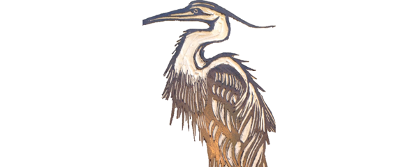 HERON BY CAROL ZALOOM