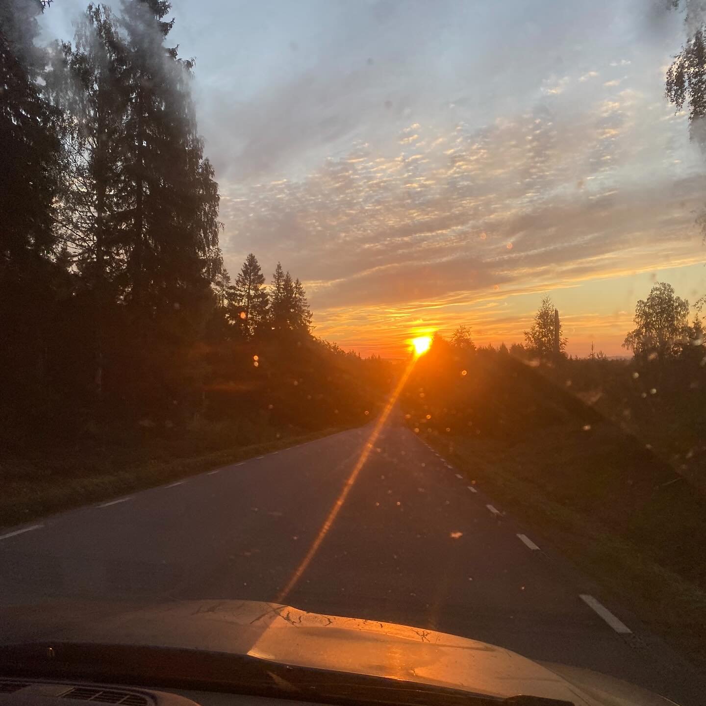 🍊 colours on the way to Stockholm for delivery of @magnusthierfeldertzotzis and a full day of strategies and future plans with @bildkonstsverige