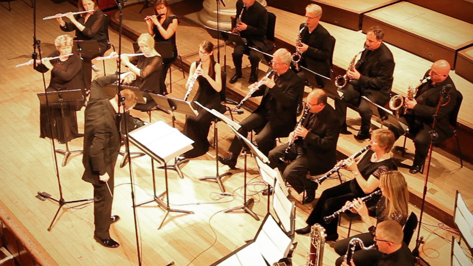 Shea Lolin with the London Woodwind Orchestra, April 2016