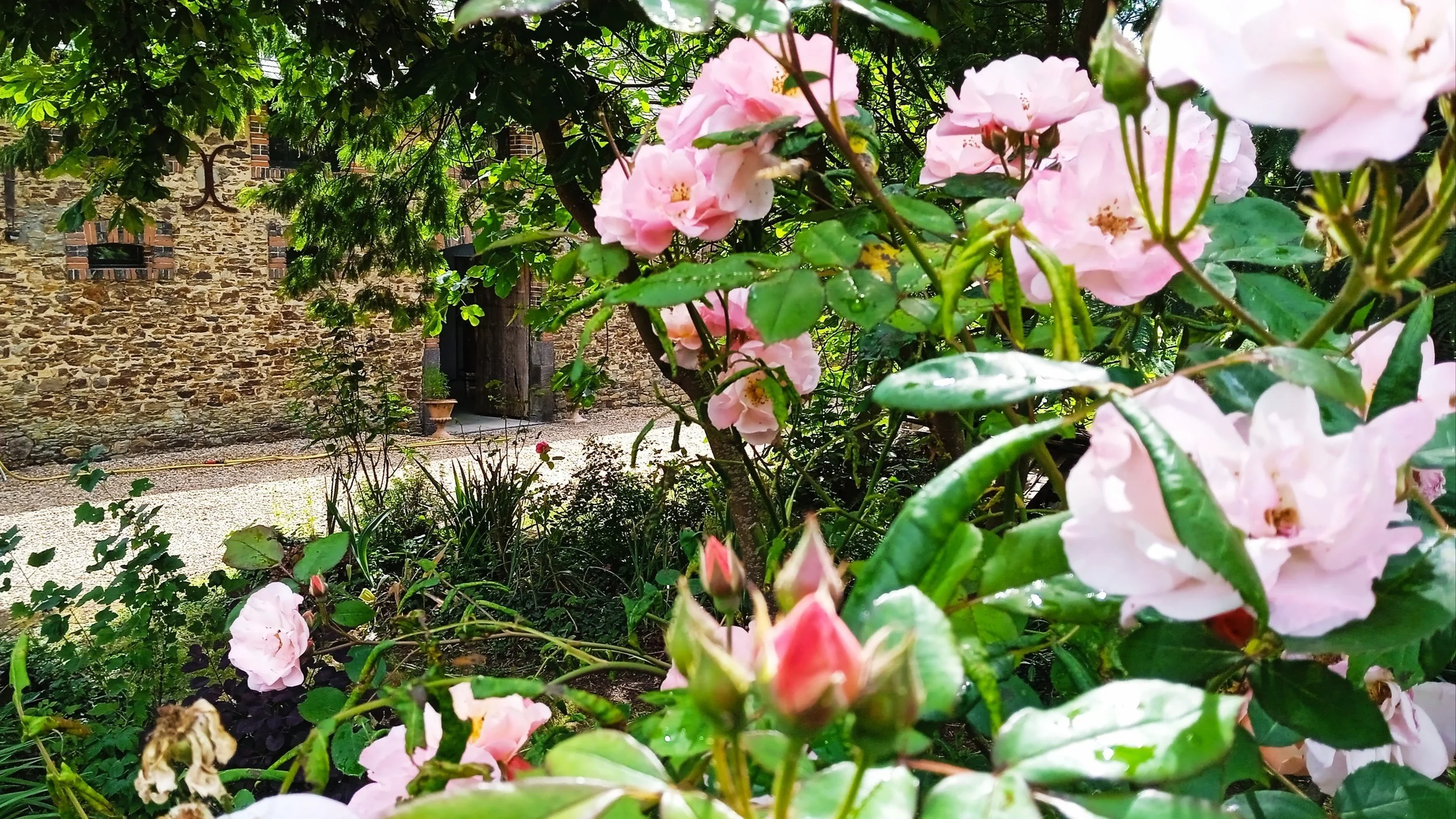 Notre alchimie parfumée : des champs à votre nez