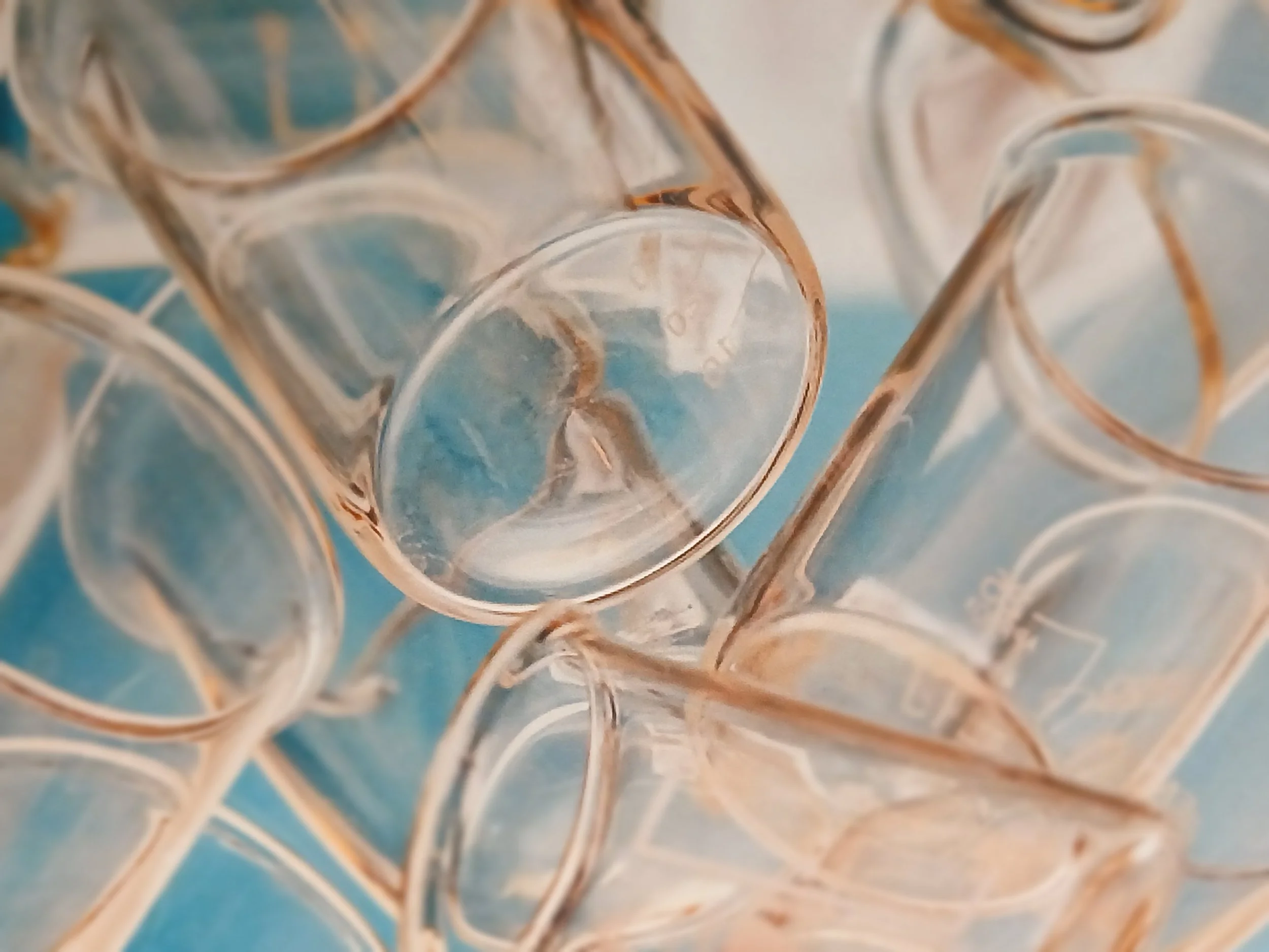 Janvier 2026 : Écouter le sillage des plantes (Retour sur notre conférence à Angers)