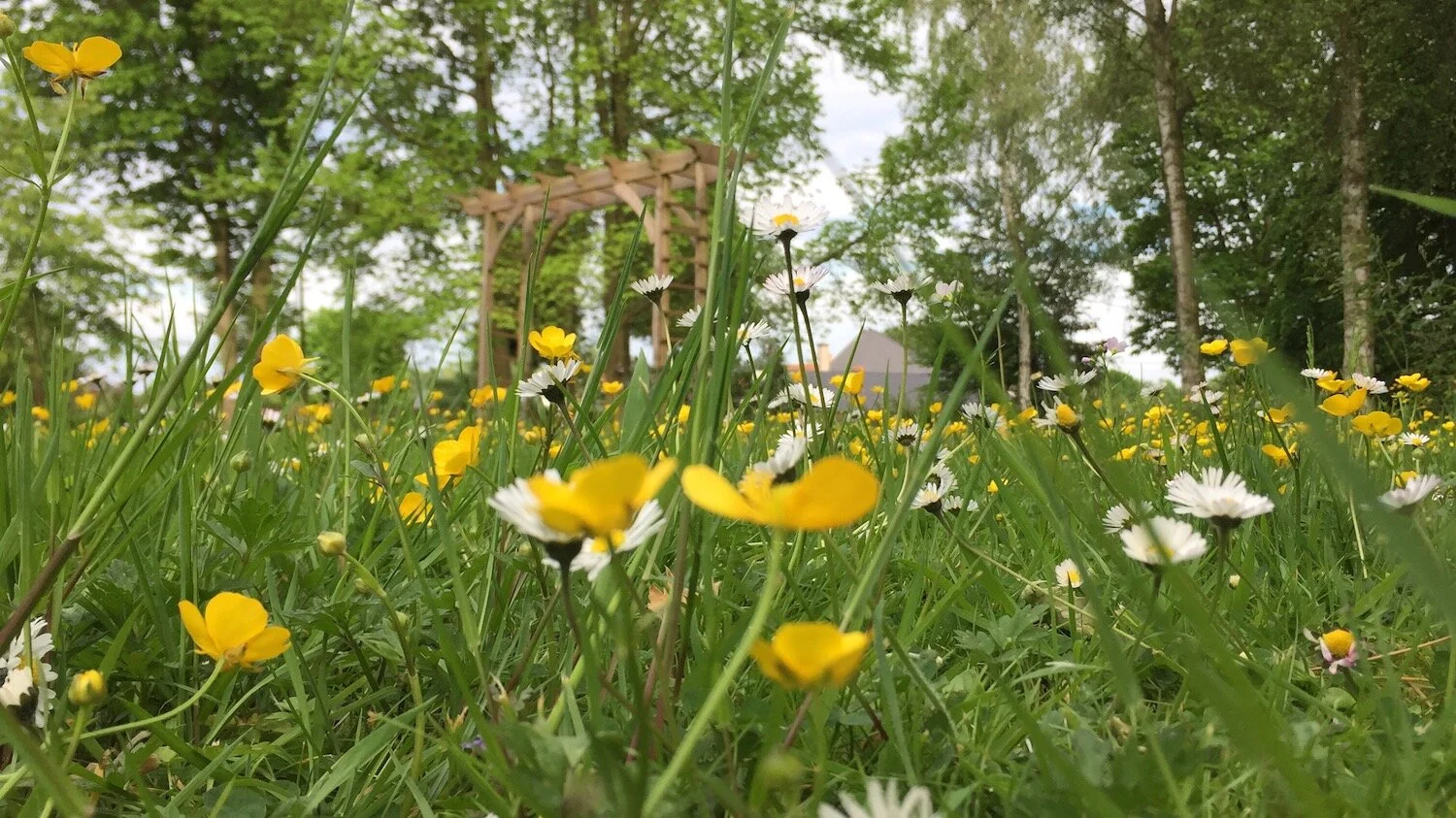 Bron van Stilte-tuin.jpeg