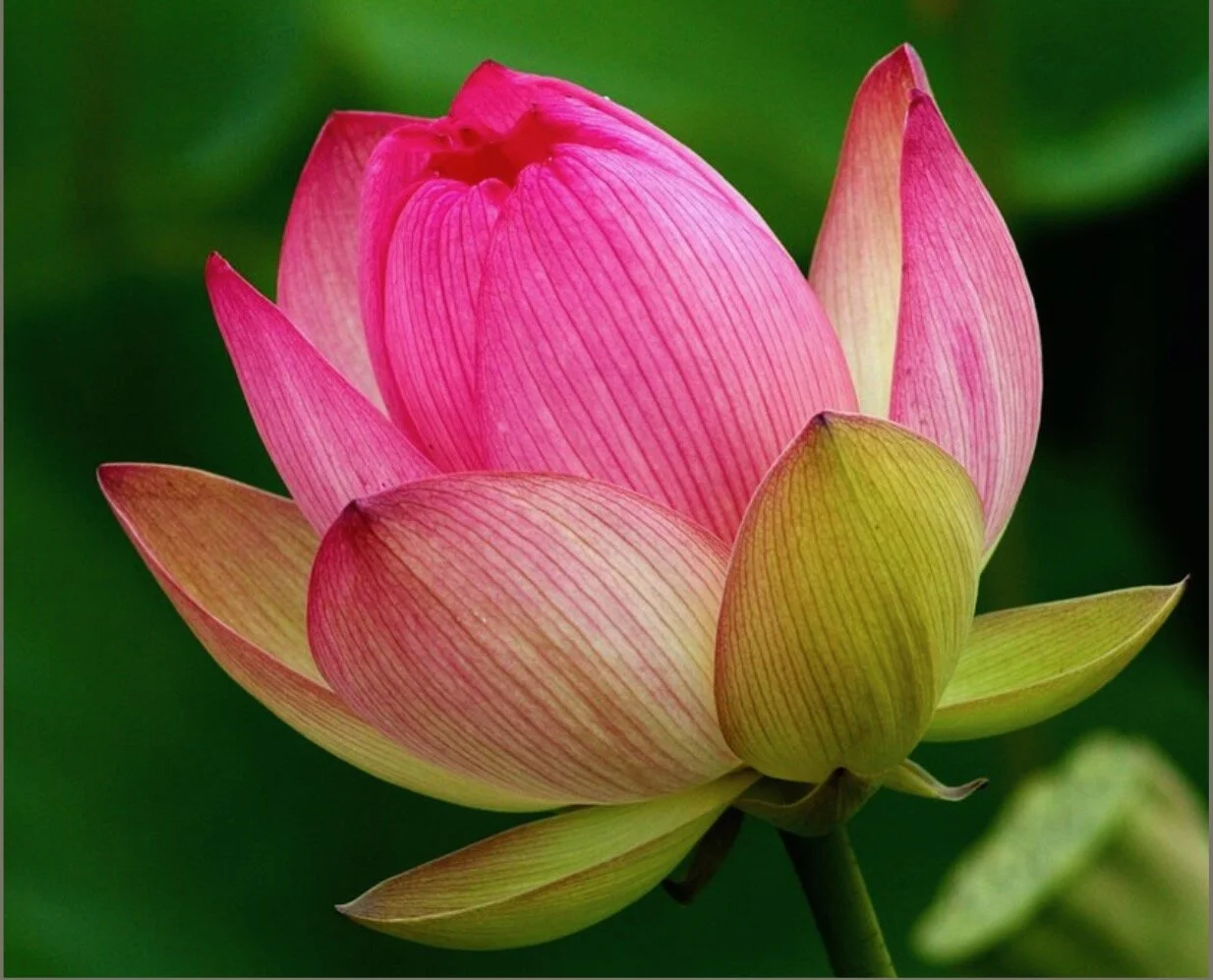 De waarde van heldere perceptie