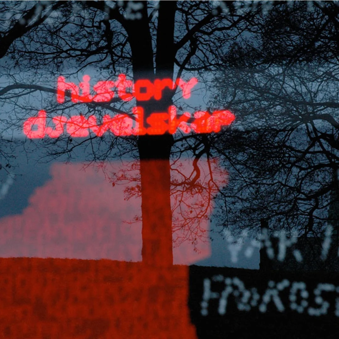 DetaljSvartLuke1A.jpg