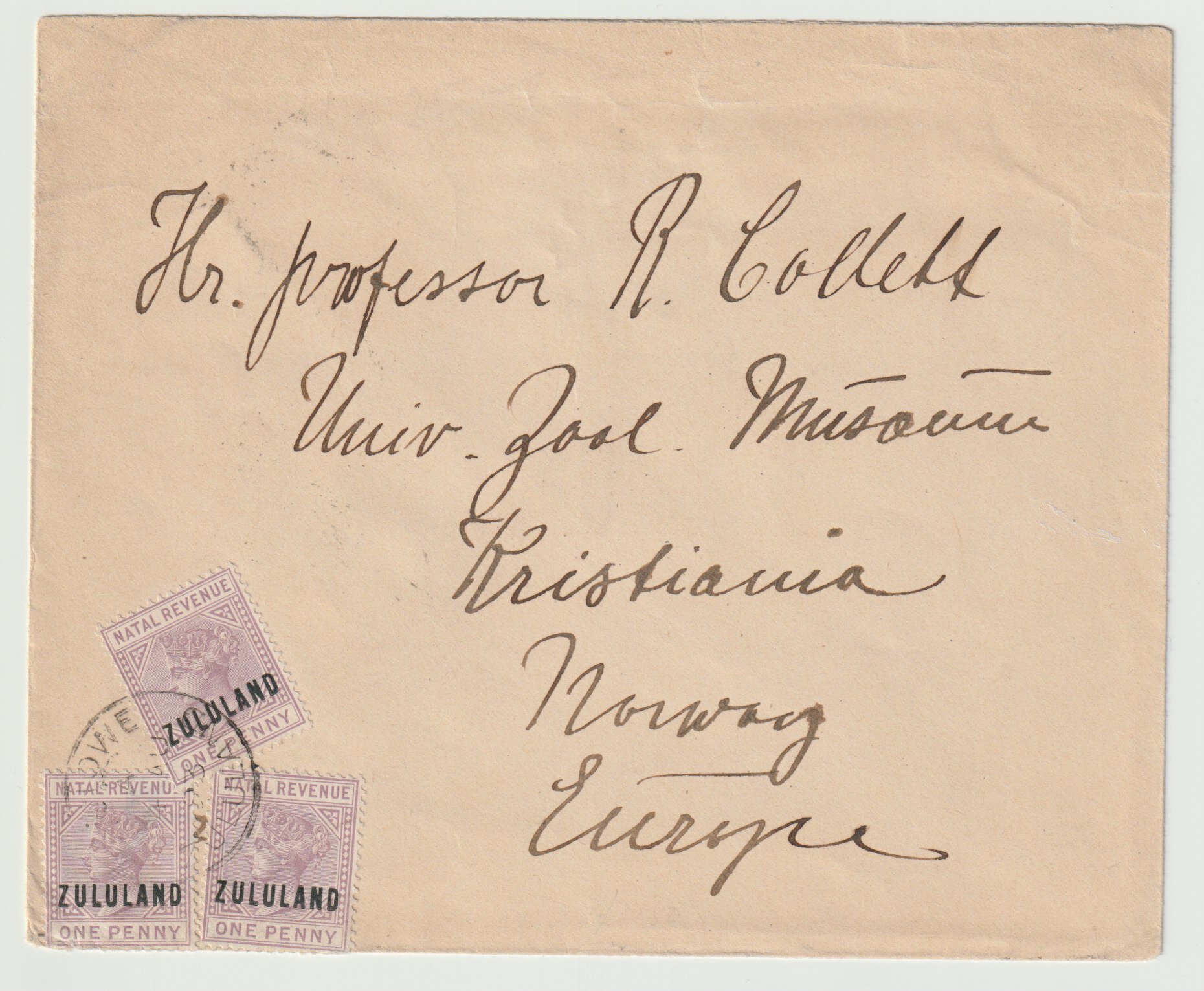 84907A01-8AF4-449F-B922-EF838804614B