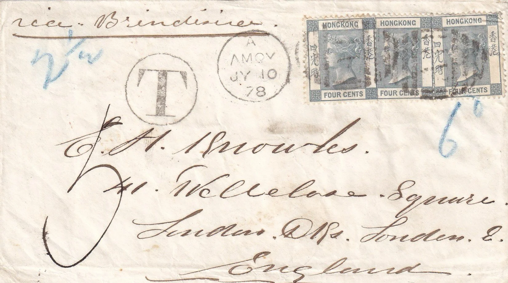 IMG_20260217_0001 copy 3.jpg