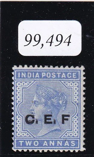 IMG_20260216_0005 copy.jpg