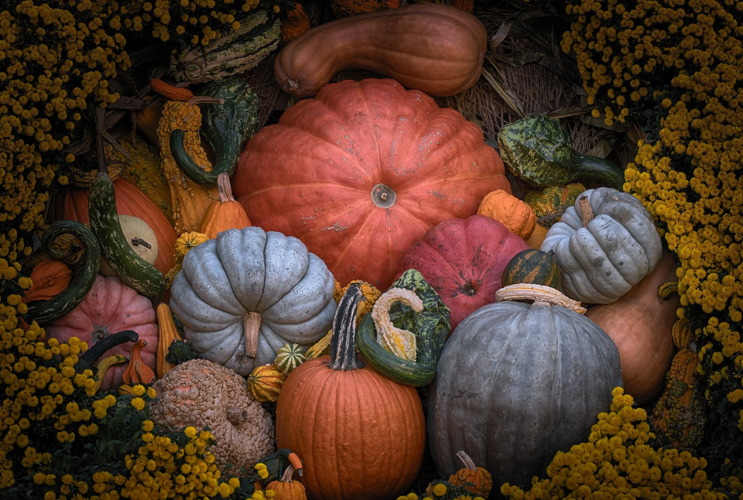 Closed for Harvest Break