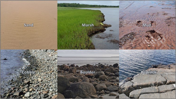 Different sediment types on NS shorelines