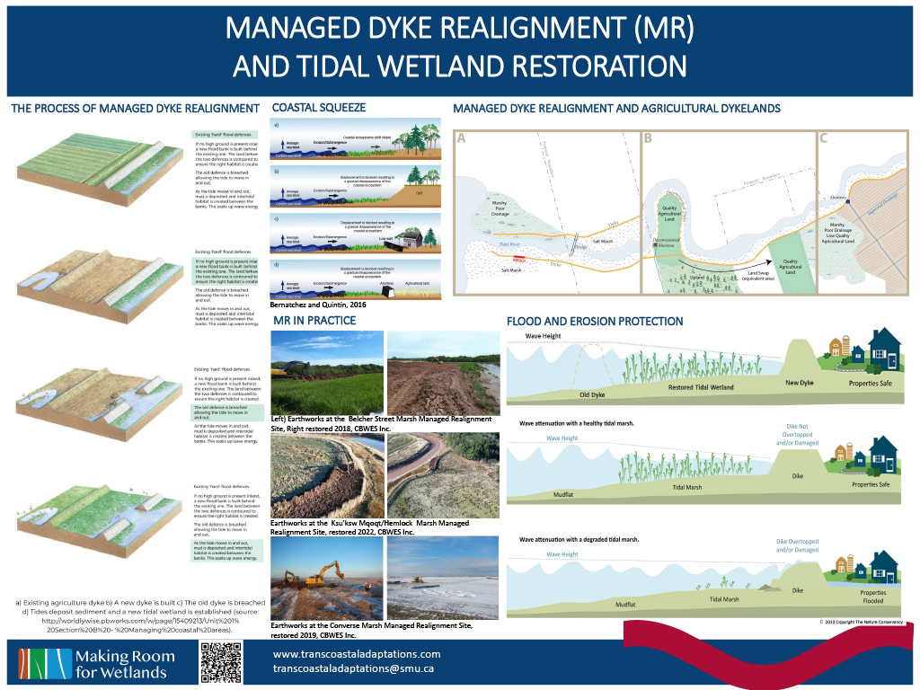 Managed Dyke Realignment