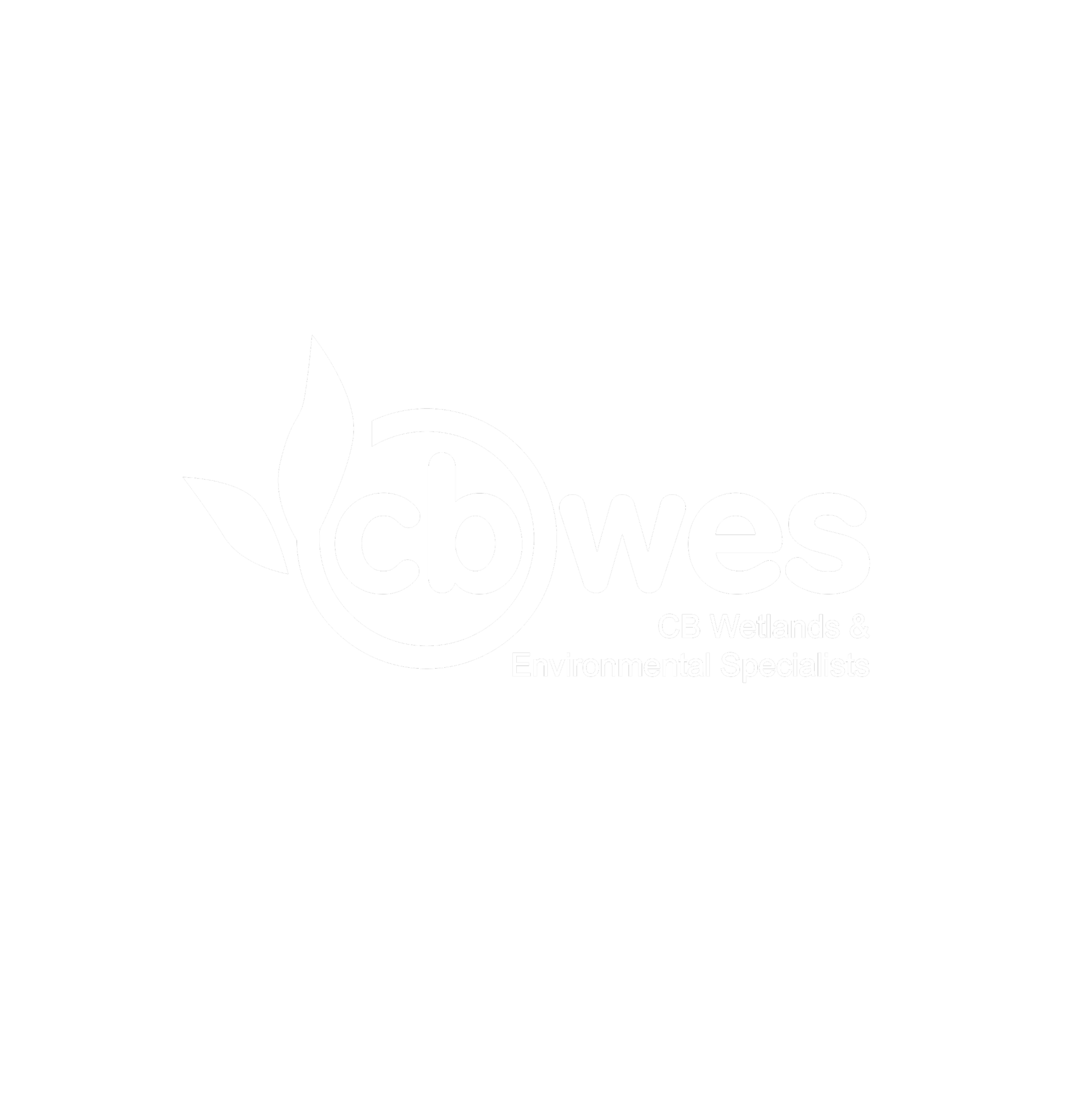 cbwes logo in white.png