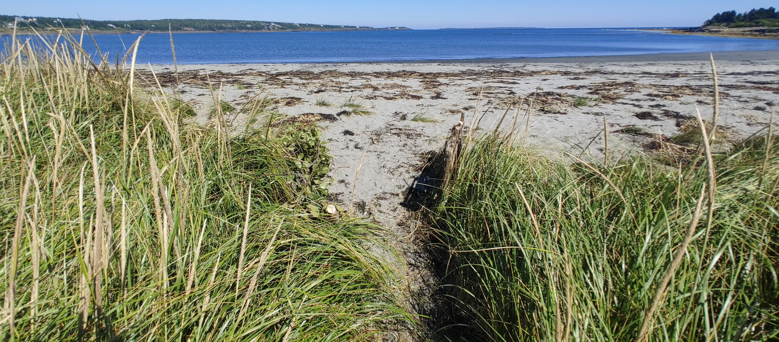 Green Shores for Homes Gold Sites in Nova Scotia