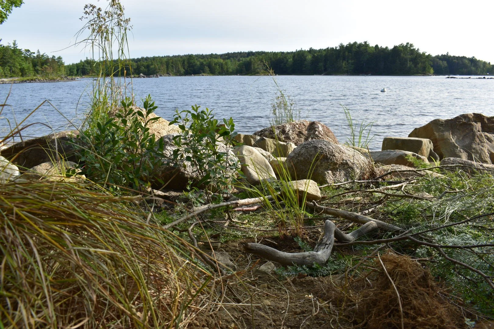 Molega Lake [English]
