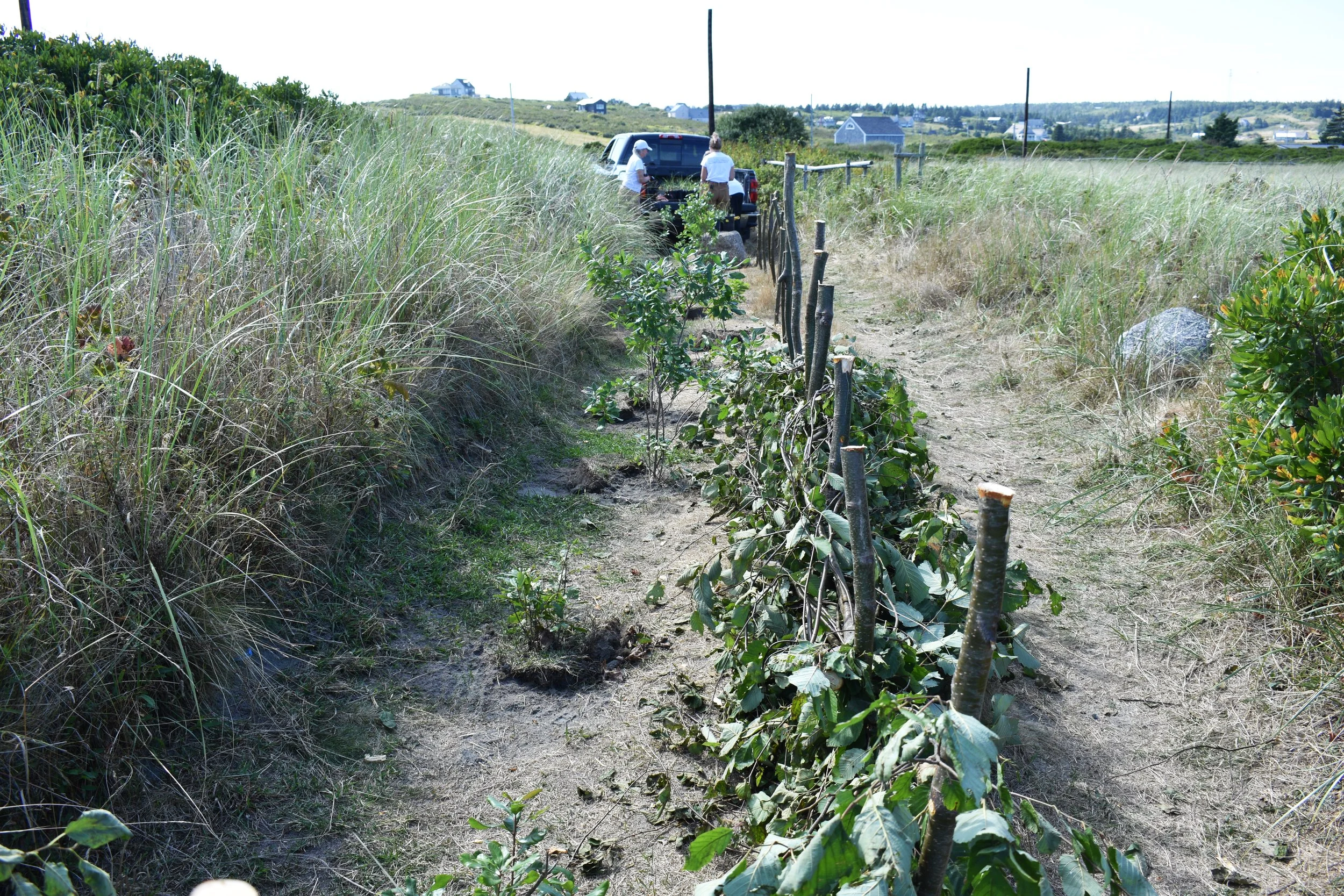 Plage de Kingsburg [Français]