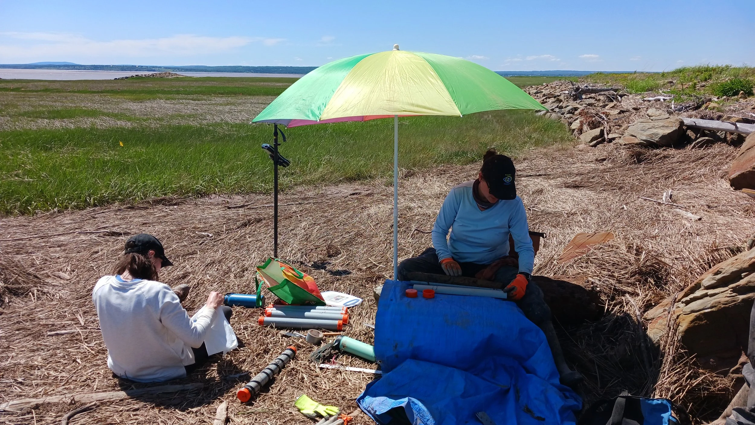 5-Brittney Soil Cores.jpg