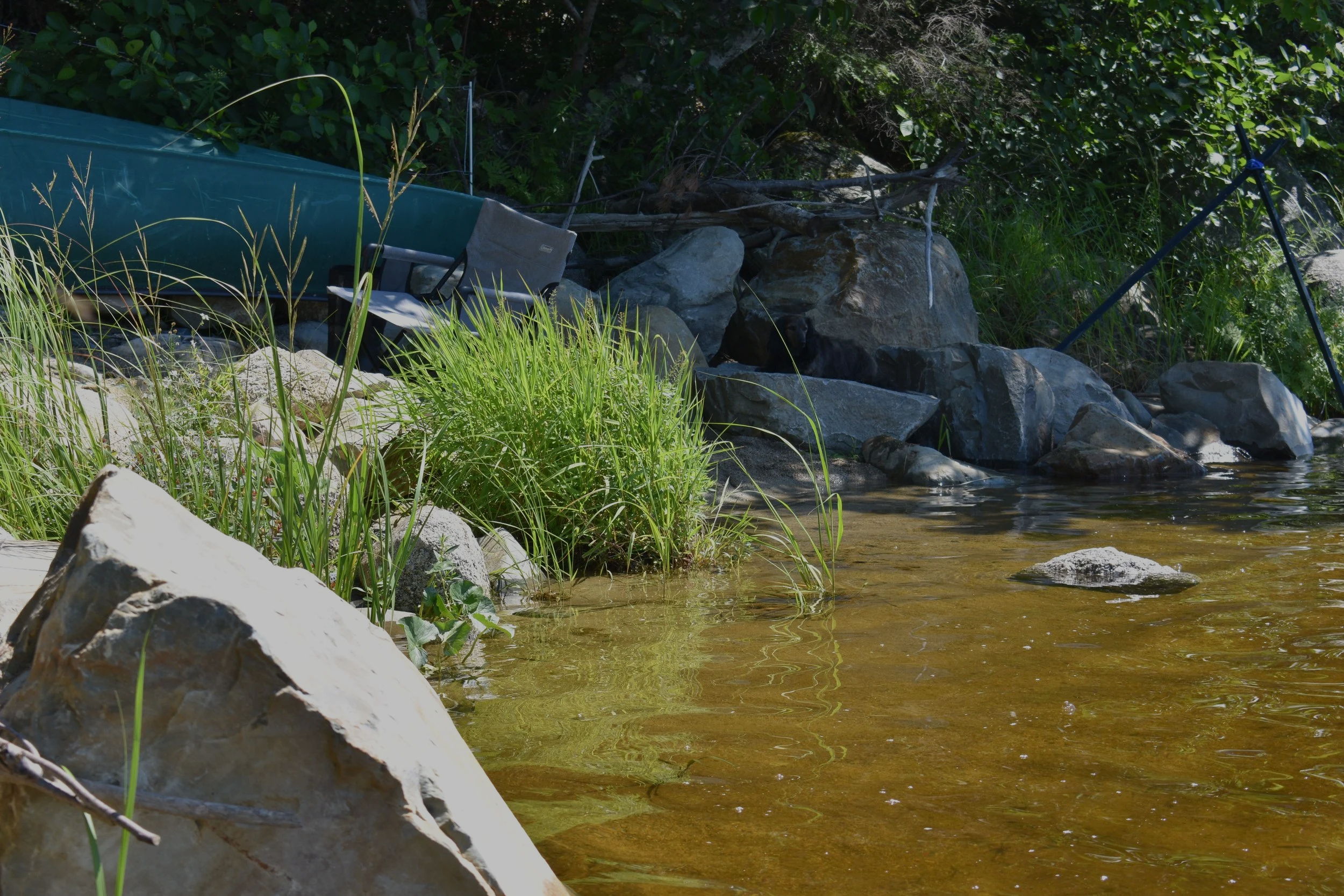 Monitoring at Molega Lake - Year 1 Blog
