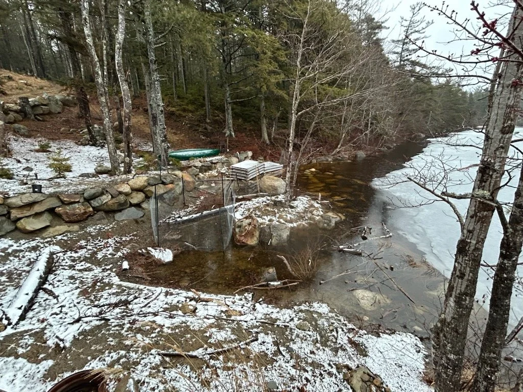 Landscape slightly covered with snow and with water levels covering the entire riparian area except for a mound in the center with trees growing from it