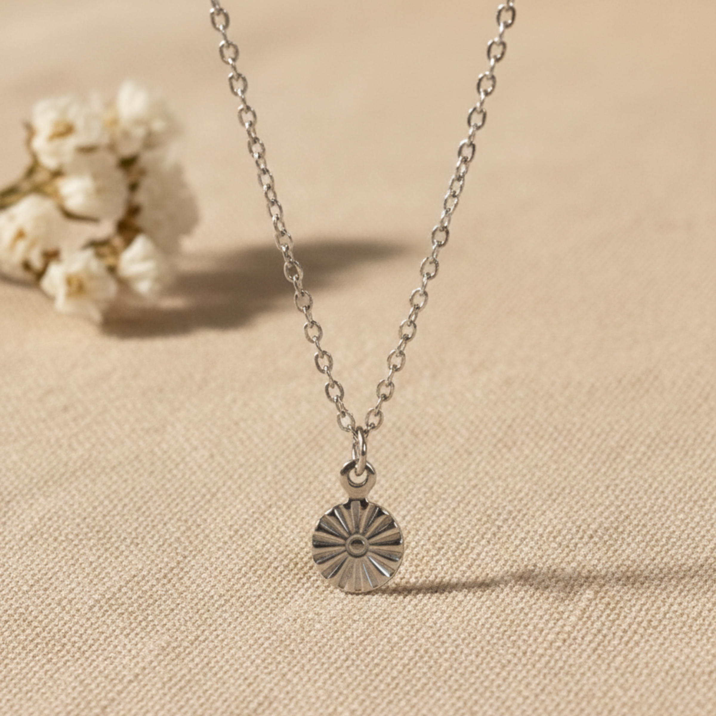 OLY  argent (CO).png