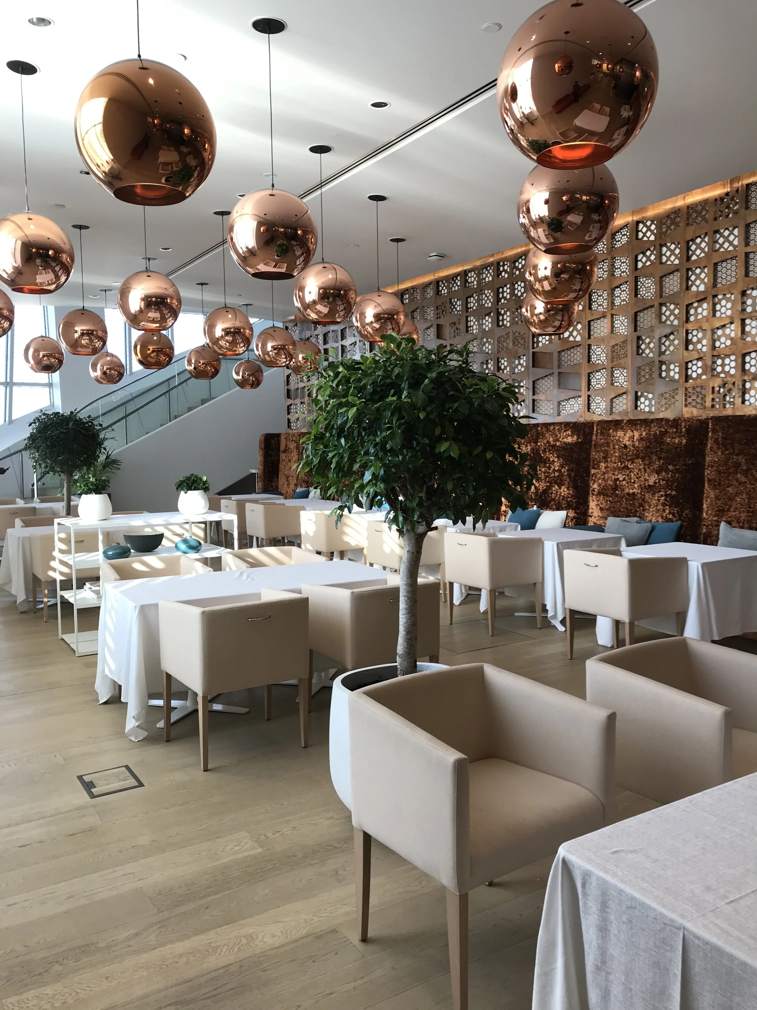 JPEG image-381FC15FA9FA-1.jpeg