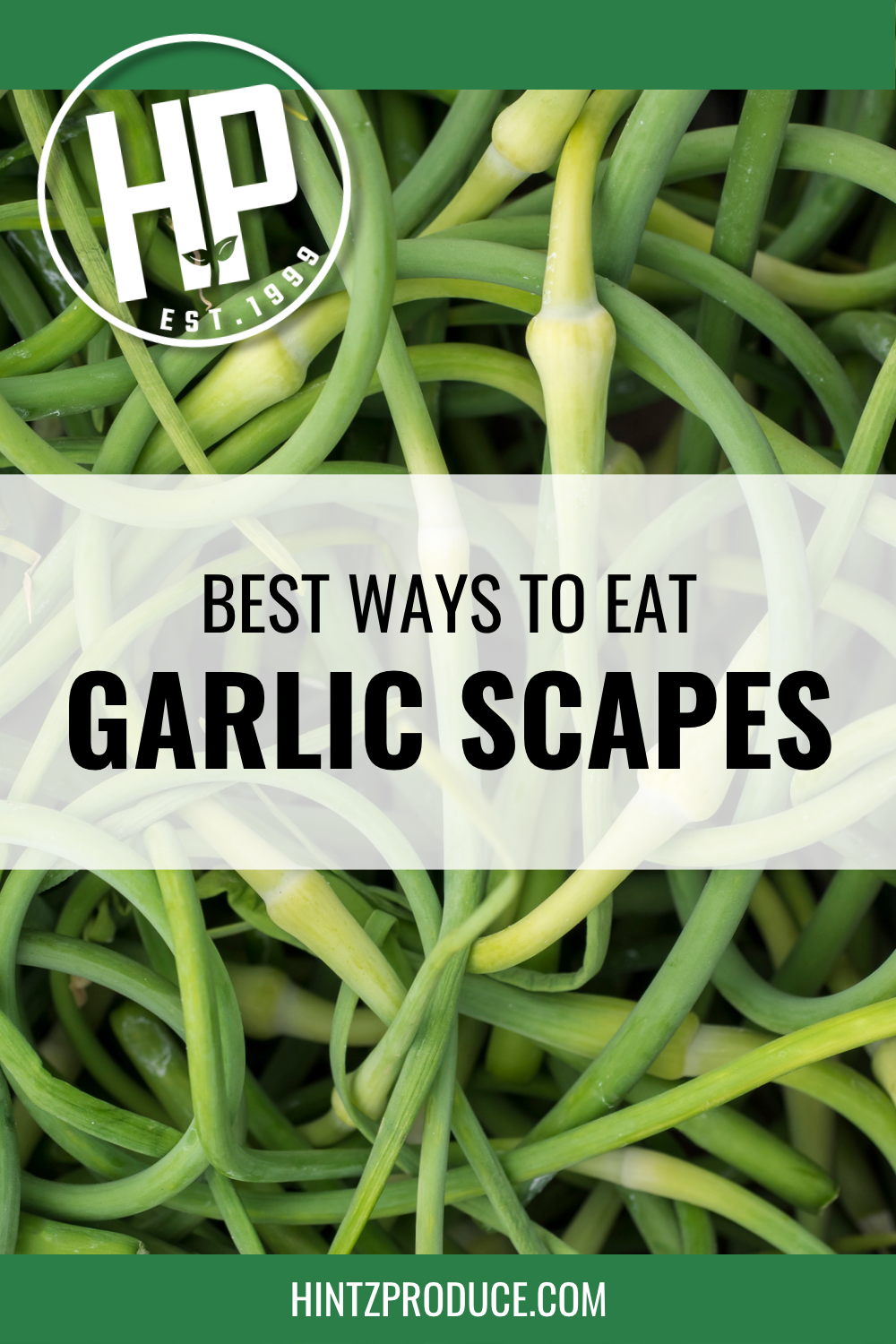 garlic scapes.png