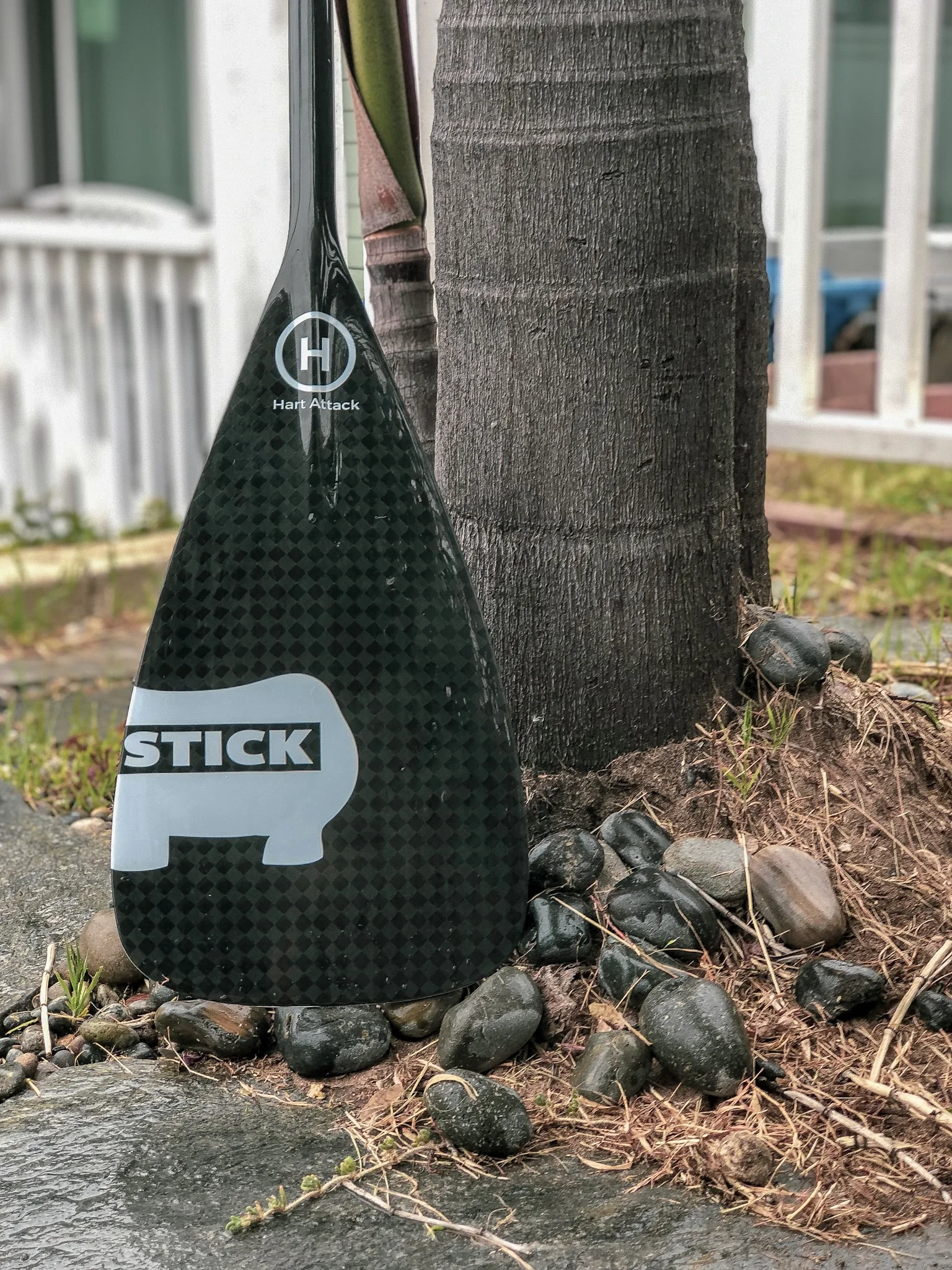 HART ATTACK PADDLE