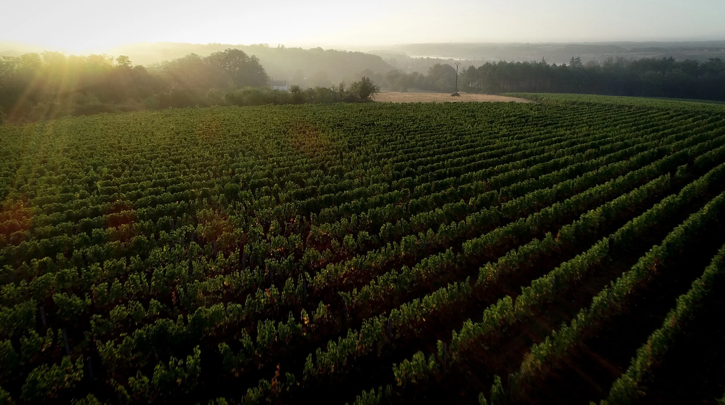 Video: LEVIN Vintage Experience, September 2019