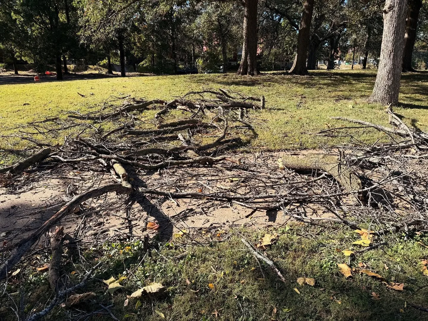 When the storms come around - Mark and the Benton Park urban lumberjacks go to town! DM if you&rsquo;d like to be added to their text chain - all are welcome.