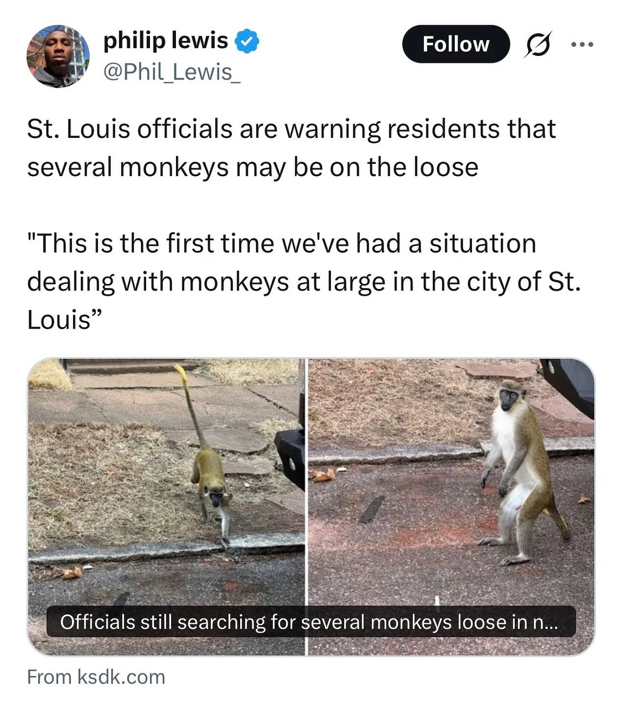 Heaven forbid a monkey takes a day off! And may they enjoy it and make it home safely! Maybe come by Cherokee to pick up a nice vintage jacket from cherry bomb and a pastry from mud house ☺️ that&rsquo;s a great Saturday