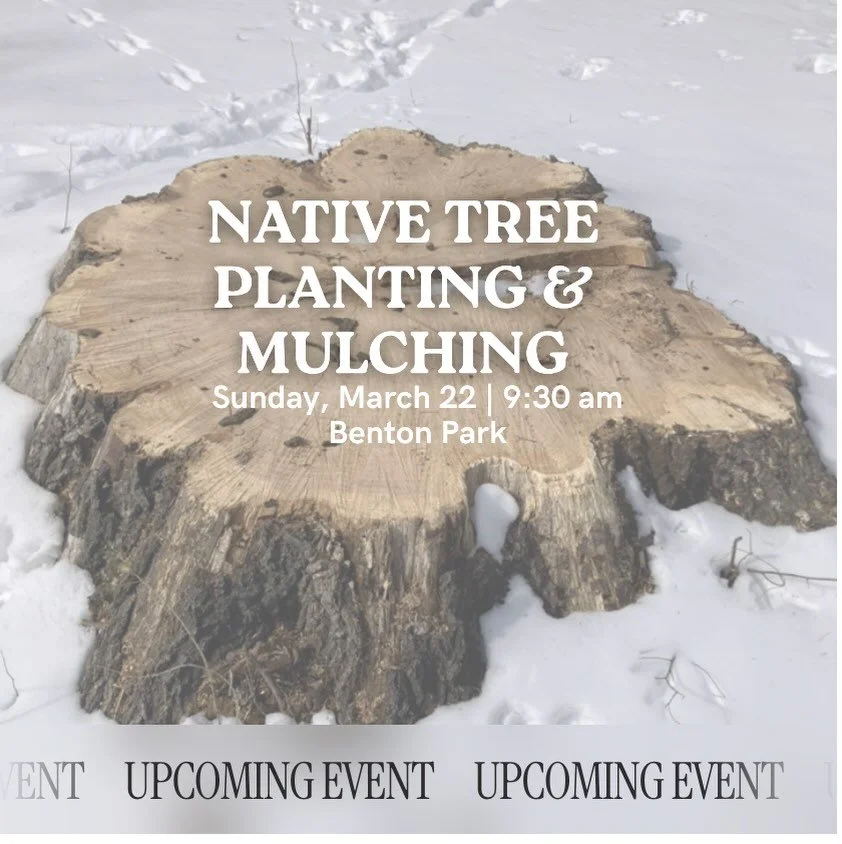 Sunday, March 22 | Morning
Help us grow Benton Park 🌳
 After recent removals funded by MDC&rsquo;s Community Forestry grant, we&rsquo;re planting 14 new native trees to keep the park healthy and safe.

Come plant, mulch, and make a difference &mdash