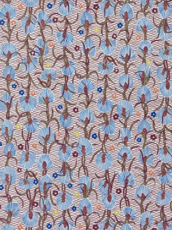 Watsonia FP545003 - Ciel