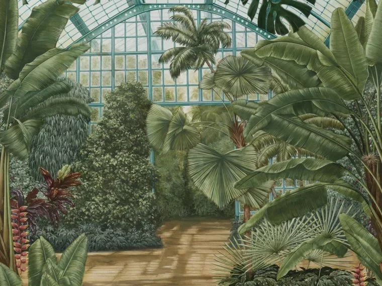 La Serre FP521001 - Palmier