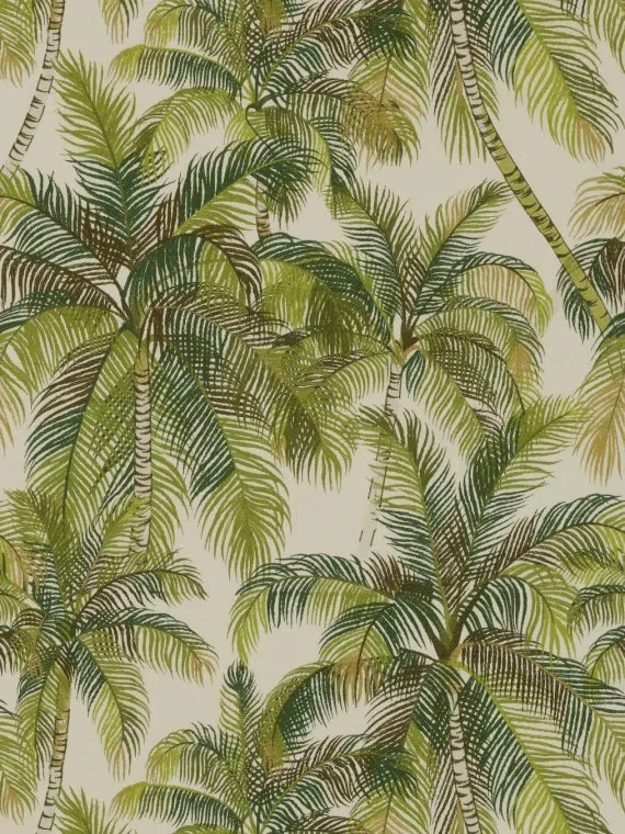 Tampa FP565001 - Palmeraie