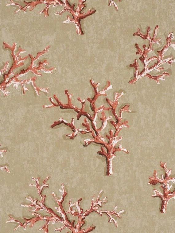 Lavezzi FP196004 - Corail