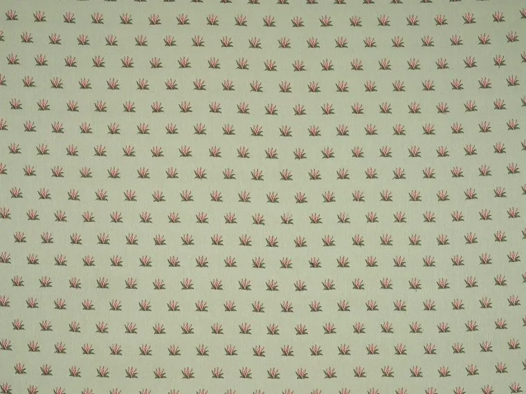 Coulonges Semis BP352003 - Amande