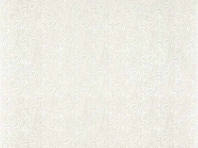 Haliotis FP982001 - Nacre