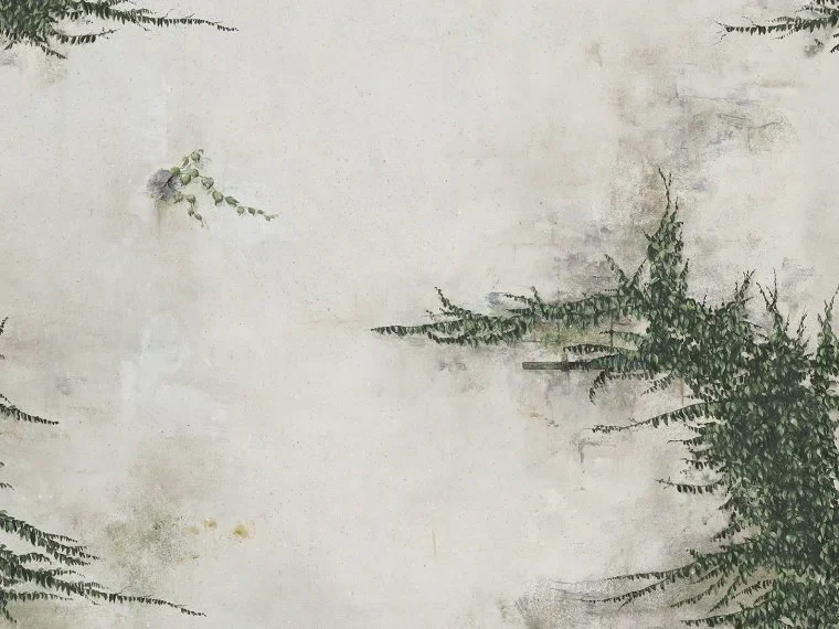 Tarrano FP526001 - Roches