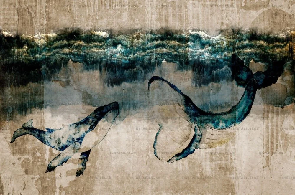 Whale 02