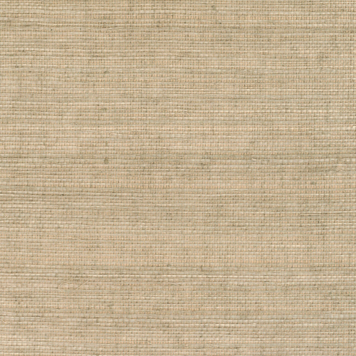 cmo-wsi-01-11-sisal-mural-2.png