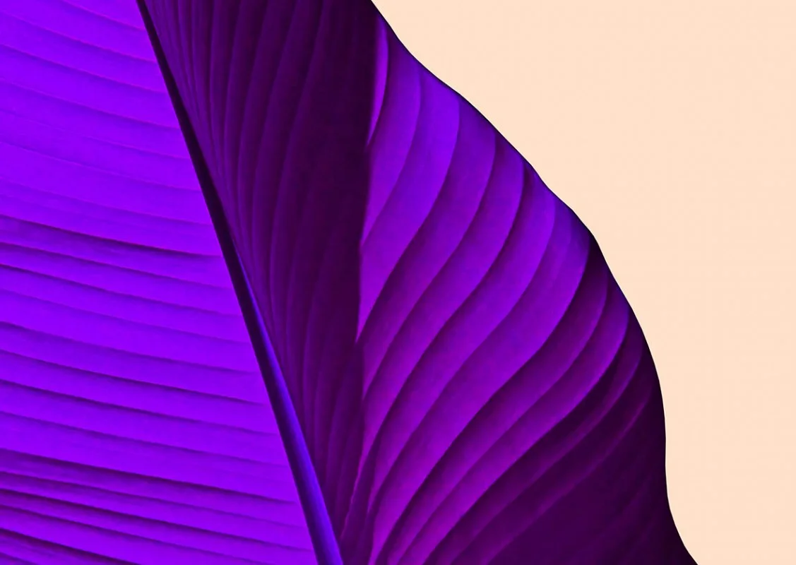 TXWR17335-color-theory-1.jpg