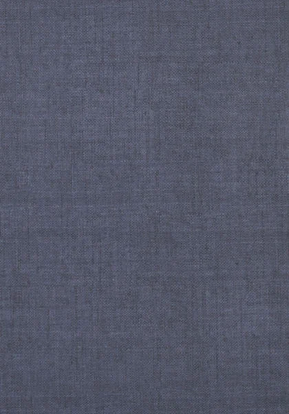 T14145.jpg